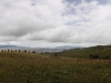IMG_4706 Panorama_resize